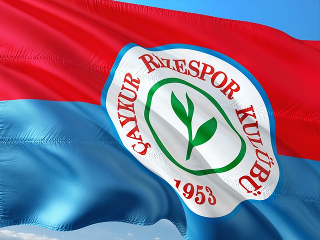 湖人放走他 湖人放走他