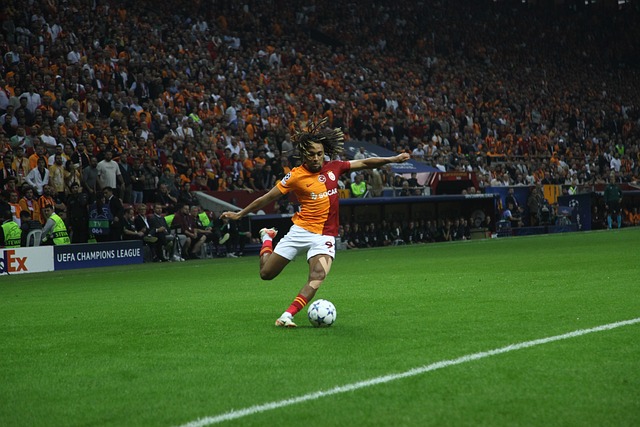 将有助于球 将有助于球